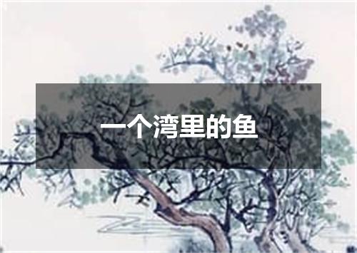 一个湾里的鱼