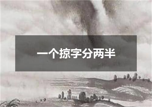 一个掠字分两半