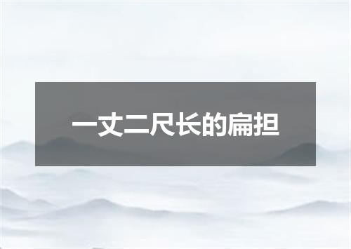 一丈二尺长的扁担