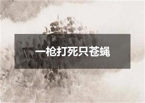 一枪打死只苍蝇