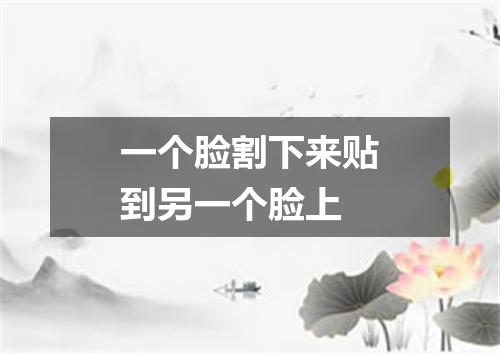 一个脸割下来贴到另一个脸上