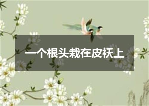 一个根头栽在皮袄上