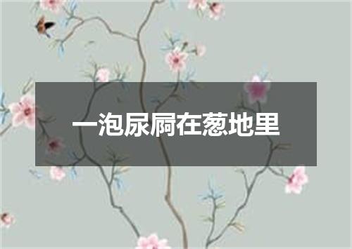 一泡尿屙在葱地里