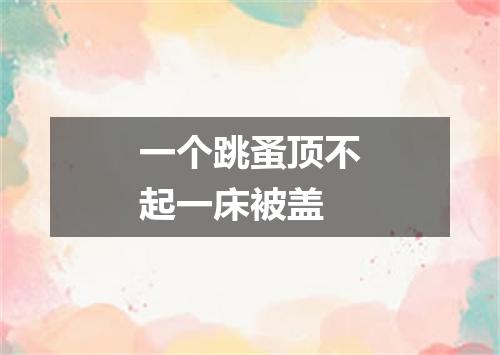 一个跳蚤顶不起一床被盖
