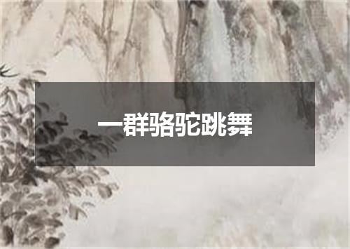 一群骆驼跳舞