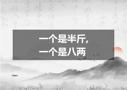 一个是半斤,一个是八两