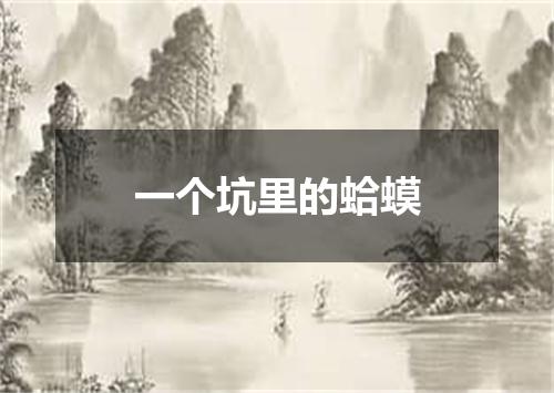 一个坑里的蛤蟆