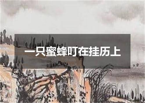 一只蜜蜂叮在挂历上