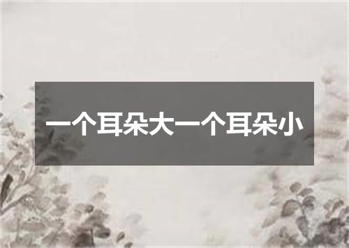 一个耳朵大一个耳朵小