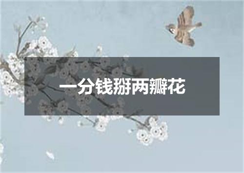 一分钱掰两瓣花
