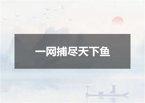 一网捕尽天下鱼