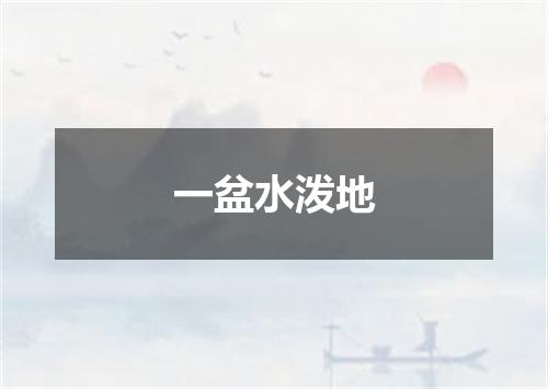 一盆水泼地