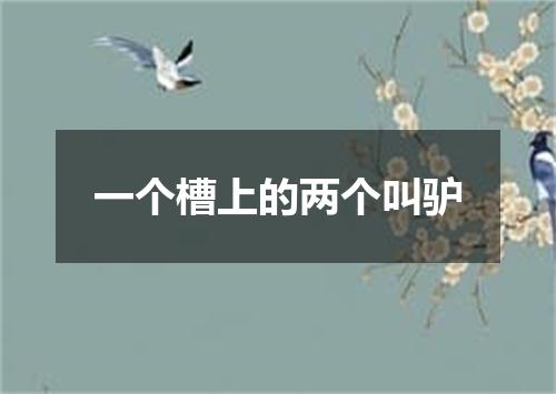 一个槽上的两个叫驴