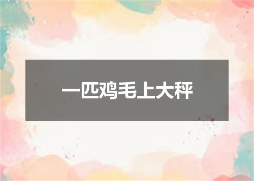 一匹鸡毛上大秤
