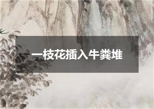 一枝花插入牛粪堆