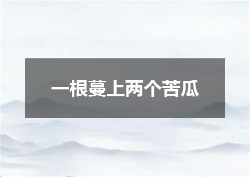 一根蔓上两个苦瓜
