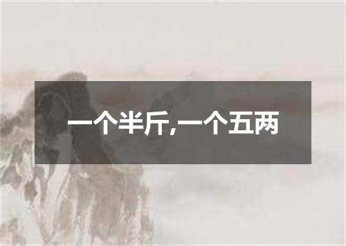 一个半斤,一个五两