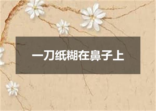 一刀纸糊在鼻子上