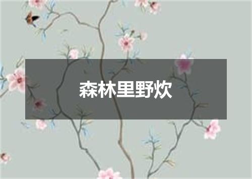 森林里野炊