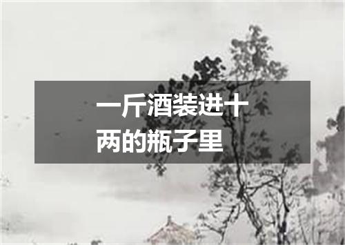 一斤酒装进十两的瓶子里