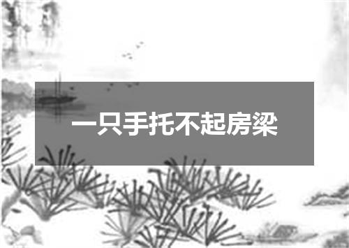 一只手托不起房梁