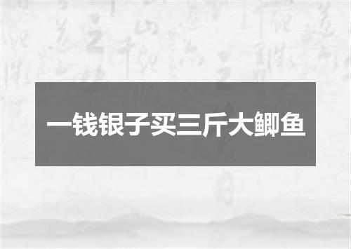 一钱银子买三斤大鲫鱼