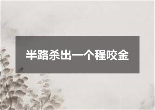 半路杀出一个程咬金