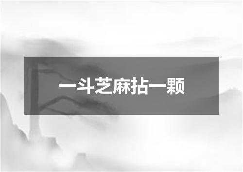 一斗芝麻拈一颗