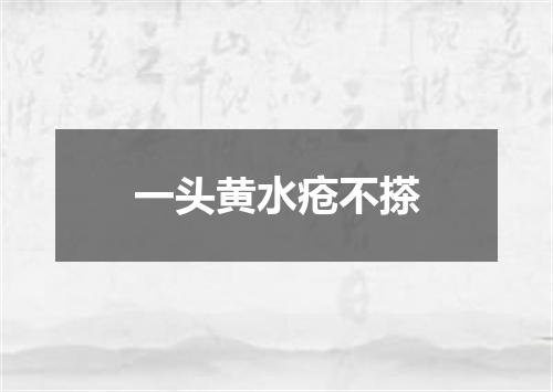 一头黄水疮不搽