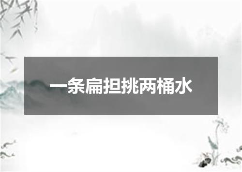 一条扁担挑两桶水