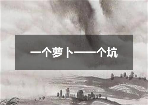 一个萝卜一一个坑
