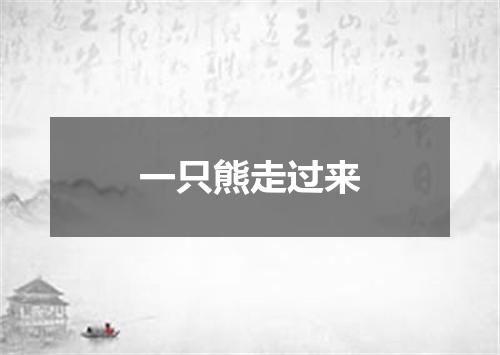 一只熊走过来