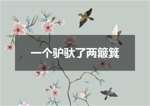 一个驴驮了两簸箕