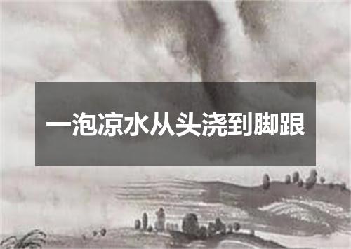一泡凉水从头浇到脚跟