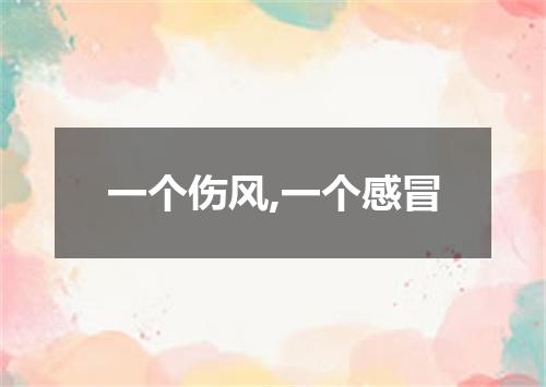 一个伤风,一个感冒