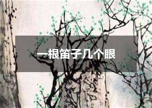 一根笛子几个眼