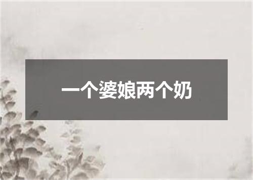 一个婆娘两个奶
