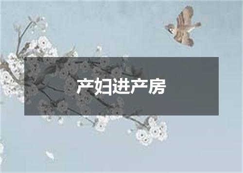 产妇进产房