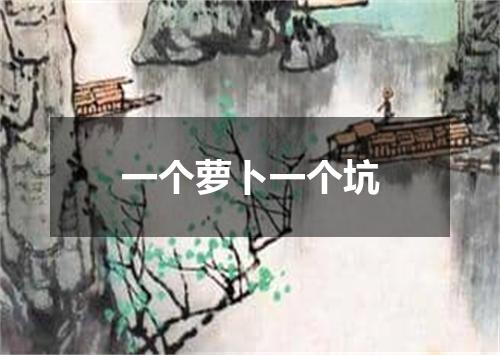 一个萝卜一个坑