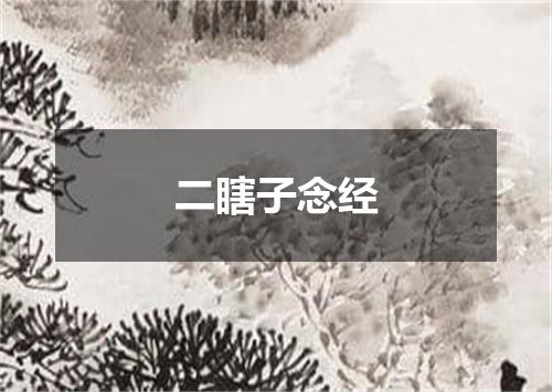 二瞎子念经