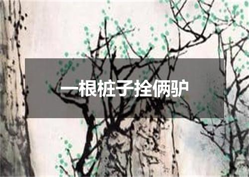 一根桩子拴俩驴