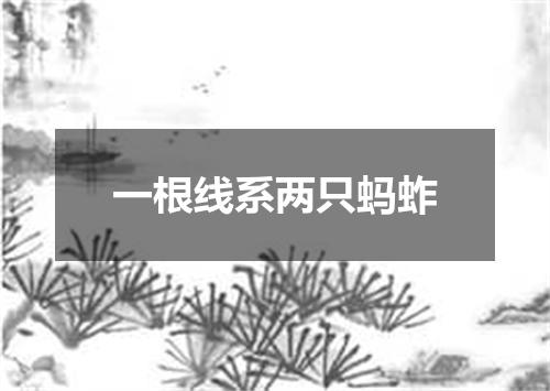 一根线系两只蚂蚱