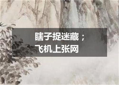 瞎子捉迷藏；飞机上张网