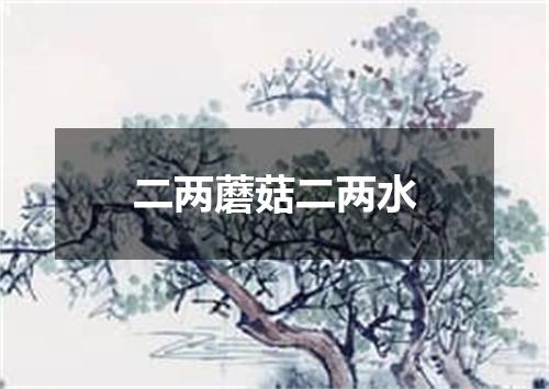 二两蘑菇二两水