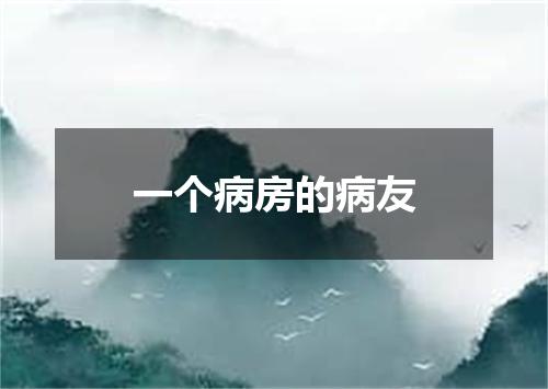 一个病房的病友