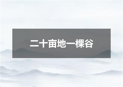 二十亩地一棵谷