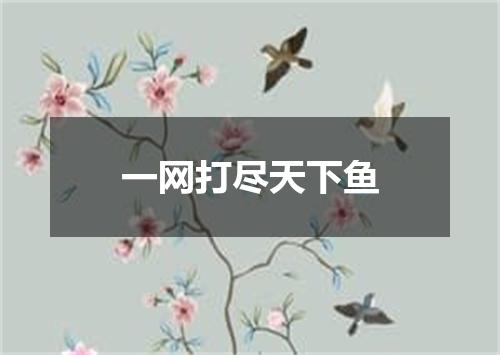 一网打尽天下鱼