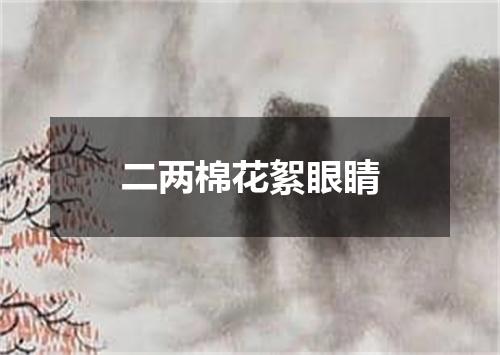 二两棉花絮眼睛