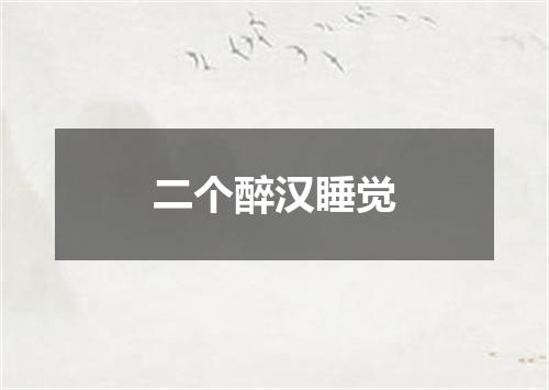 二个醉汉睡觉