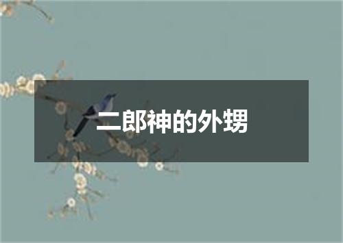 二郎神的外甥